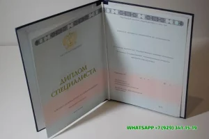 Купить диплом в Балашихе Филиала РГСУ в г. Наро-Фоминске — Филиала Российского государственного социального университета (г. Наро-Фоминск)